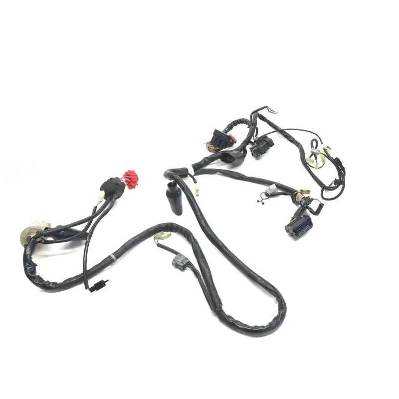 Faisceau electrique HONDA FES 125 2003-2006 PANTHEON