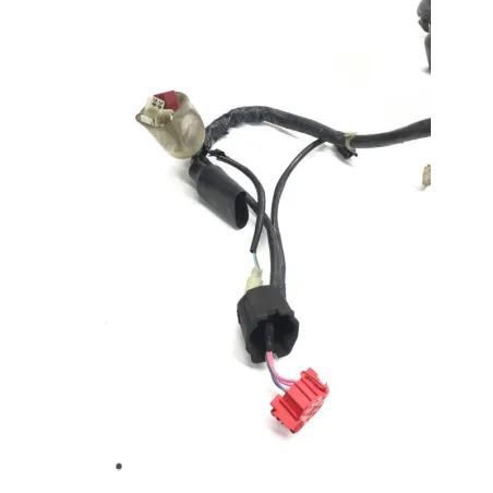 Faisceau electrique HONDA FES 125 2003-2006 PANTHEON