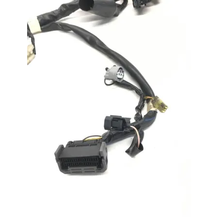Faisceau electrique HONDA FES 125 2003-2006 PANTHEON