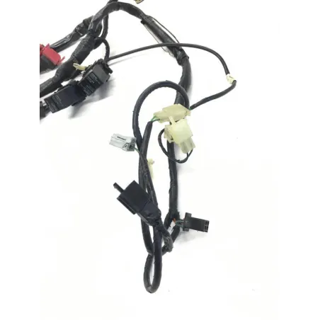 Faisceau electrique HONDA FES 125 2003-2006 PANTHEON