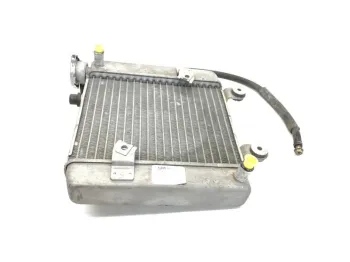 Radiateur eau HONDA FES 125 2003-2006 PANTHEON