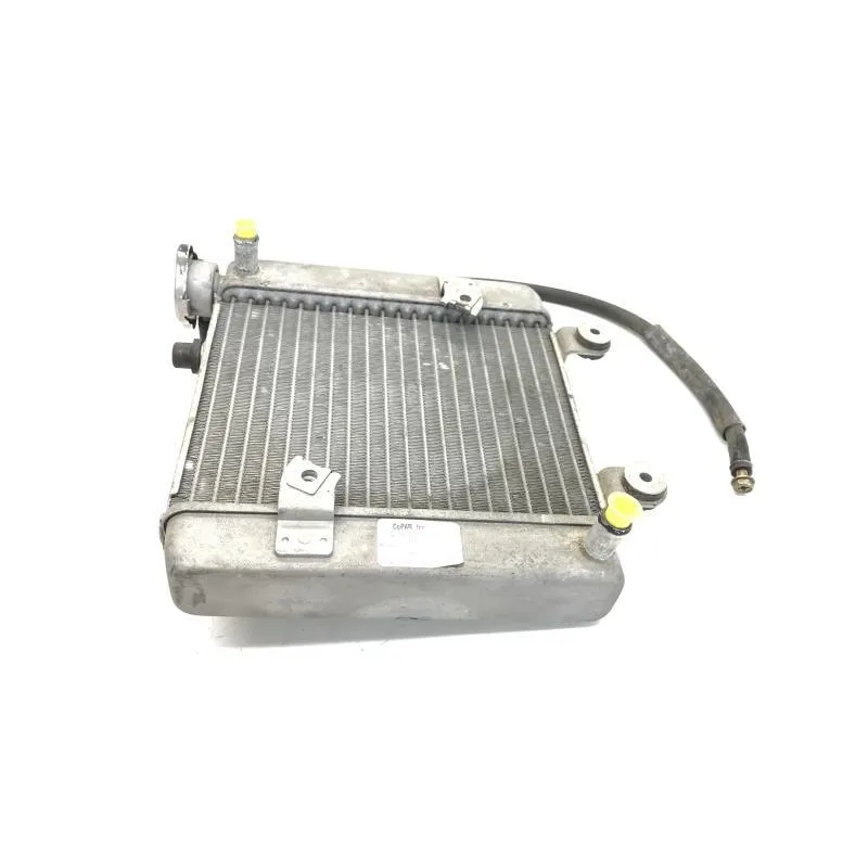 Radiateur eau HONDA FES 125 2003-2006 PANTHEON