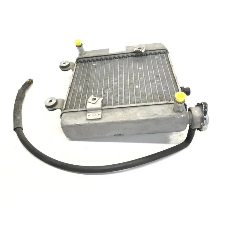 Radiateur eau HONDA FES 125 2003-2006 PANTHEON