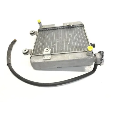 Radiateur eau HONDA FES 125 2003-2006 PANTHEON