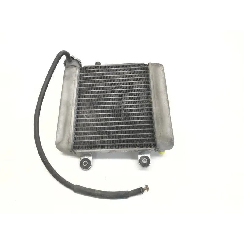 Radiateur eau HONDA FES 125 2003-2006 PANTHEON