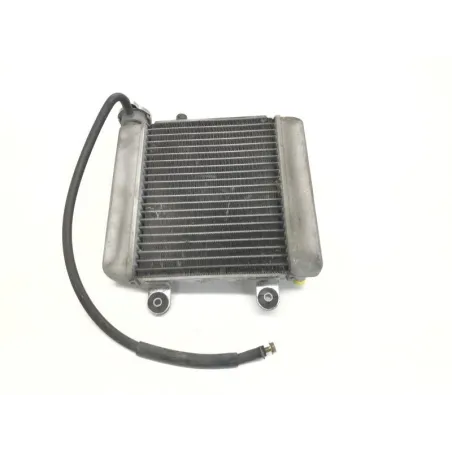 Radiateur eau HONDA FES 125 2003-2006 PANTHEON