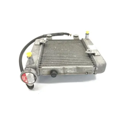 Radiateur eau HONDA FES 125 2003-2006 PANTHEON