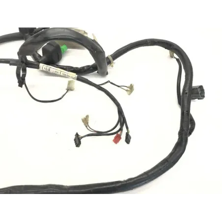Faisceau electrique HONDA FES 125 2003-2006 PANTHEON