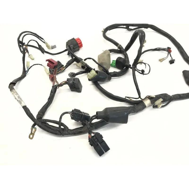 Faisceau electrique HONDA FES 125 2003-2006 PANTHEON