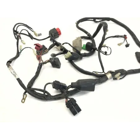 Faisceau electrique HONDA FES 125 2003-2006 PANTHEON