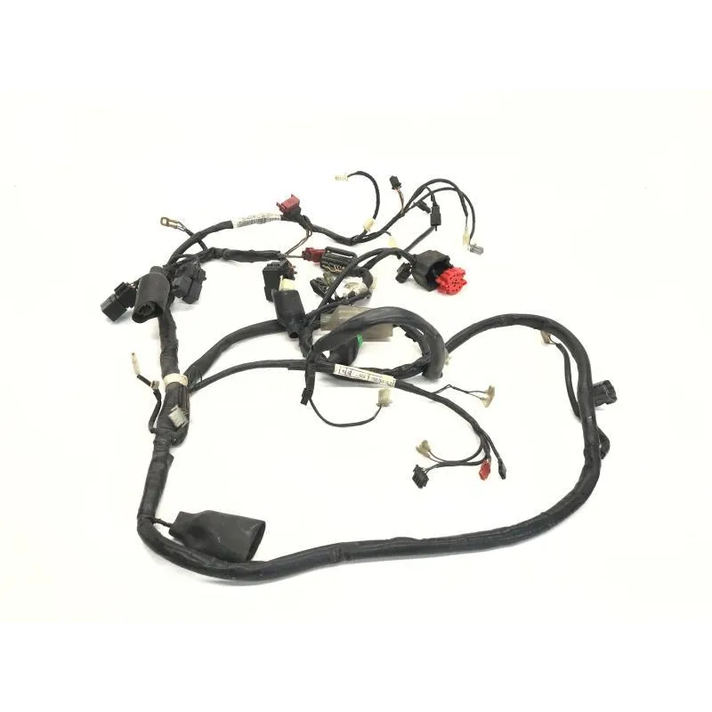 Faisceau electrique HONDA FES 125 2003-2006 PANTHEON
