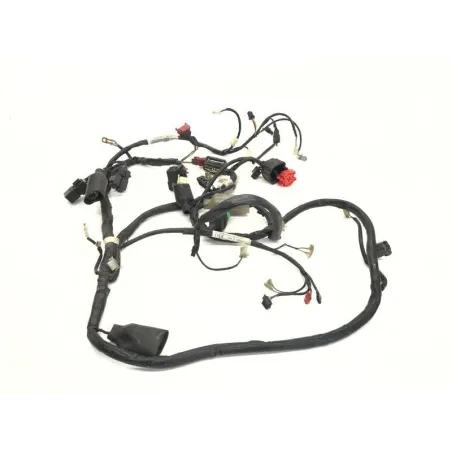Faisceau electrique HONDA FES 125 2003-2006 PANTHEON