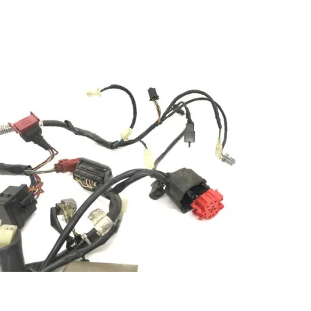Faisceau electrique HONDA FES 125 2003-2006 PANTHEON