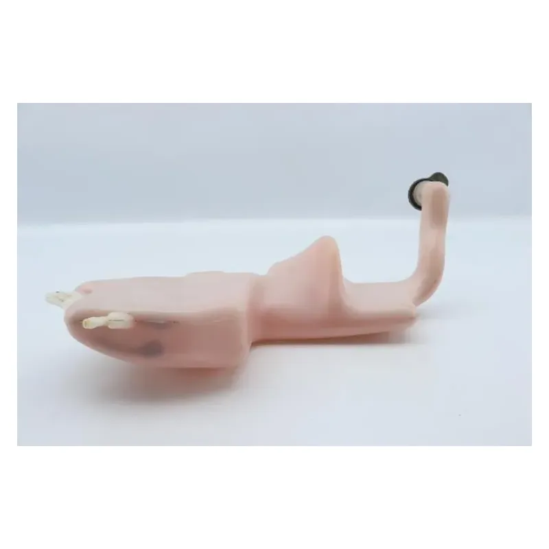 Vase expansion MBK YN 50 OVETTO 1999 - 2007