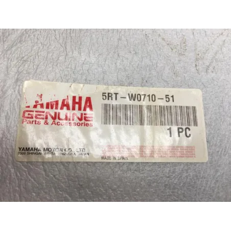 Bulle YAMAHA FZS 600 2002-2003 FAZER