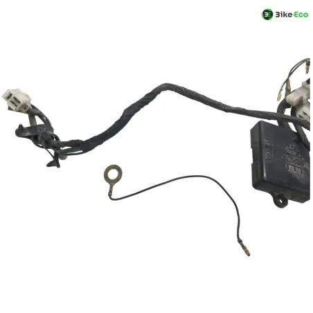 Faisceau electrique YAMAHA RZ 250 R 1984 29L