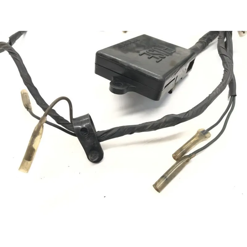 Faisceau electrique YAMAHA RZ 250 R 1983 29L