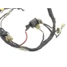 Faisceau electrique YAMAHA RZ 250 R 1983 29L