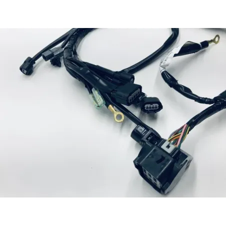 Faisceau electrique HONDA NSS 125 2015-2016 FORZA