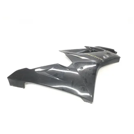 Cache flanc de carenage droit TRIUMPH DAYTONA 675 2008-2010 SE