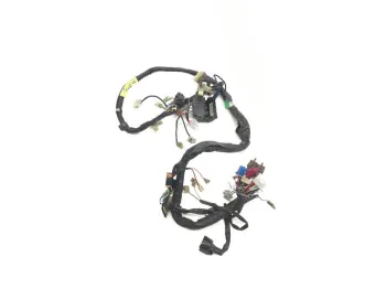 Faisceau electrique YAMAHA FZS 600 1998-2001 FAZER