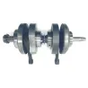 Vilebrequin HONDA CB72 250 1961-1966 SUPERSPORT