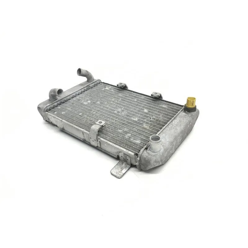 Radiateur eau SUZUKI AN 400 2003-2006 BURGMAN
