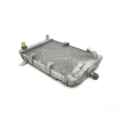 Radiateur eau SUZUKI AN 400 2003-2006 BURGMAN