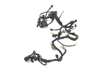 Faisceau electrique SUZUKI AN 400 2003-2006 BURGMAN