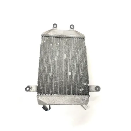 Radiateur eau SUZUKI AN 400 1999-2002 BURGMAN