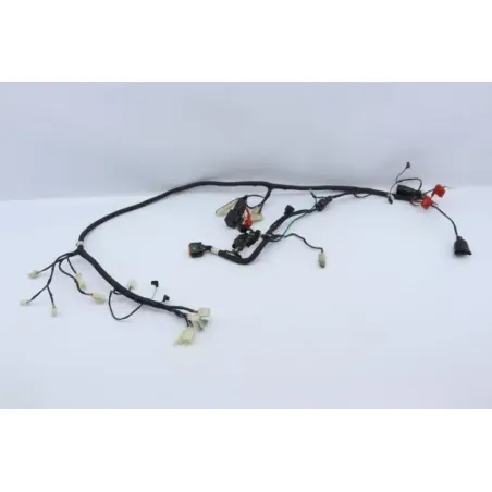Faisceau electrique NECO ONE RACING 50 2020 - 2021
