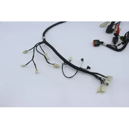 Faisceau electrique NECO ONE RACING 50 2020 - 2021
