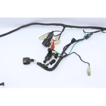 Faisceau electrique NECO ONE RACING 50 2020 - 2021