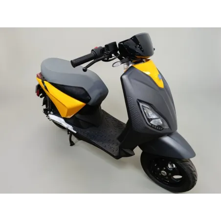 PIAGGIO PIAGGIO 1 ACTIVE ELECTRIC 60