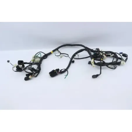 Faisceau electrique DAELIM S3 125 2011 - 2012
