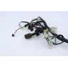 Faisceau electrique DAELIM S3 125 2011 - 2012 Faisceau electrique DAELIM S3 125 2011 - 2012