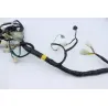 Faisceau electrique DAELIM S3 125 2011 - 2012 Faisceau electrique DAELIM S3 125 2011 - 2012