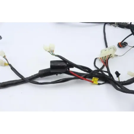 Faisceau electrique DAELIM S3 125 2011 - 2012