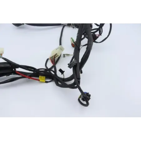 Faisceau electrique DAELIM S3 125 2011 - 2012
