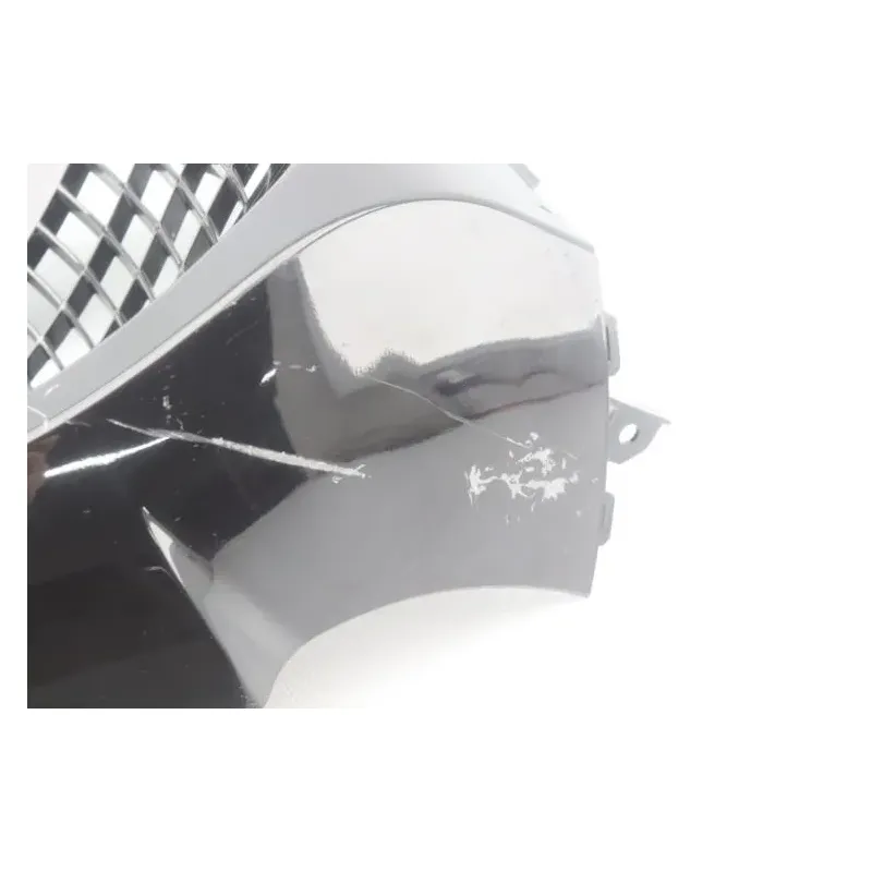 Grille de radiateur DAELIM S3 125 2011 - 2012