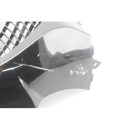 Grille de radiateur DAELIM S3 125 2011 - 2012