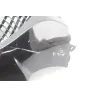 Grille de radiateur DAELIM S3 125 2011 - 2012