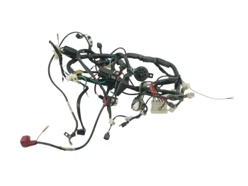 Faisceau electrique DAELIM ROADSPORT 125 2007 - 2011