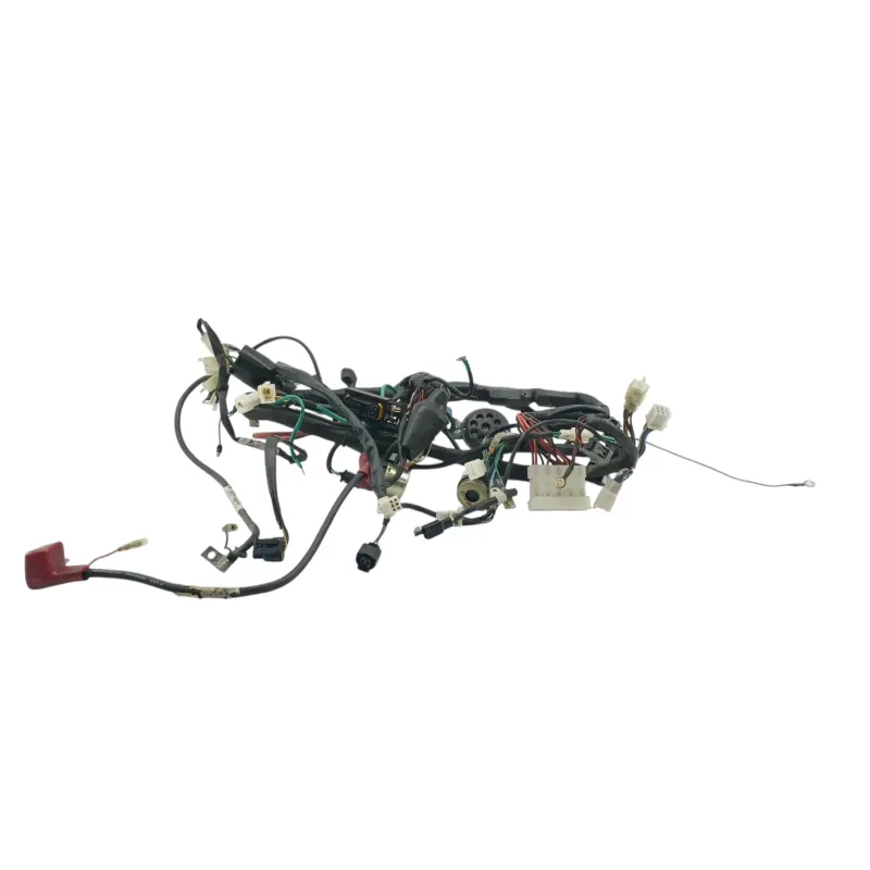 Faisceau electrique DAELIM ROADSPORT 125 2007 - 2011