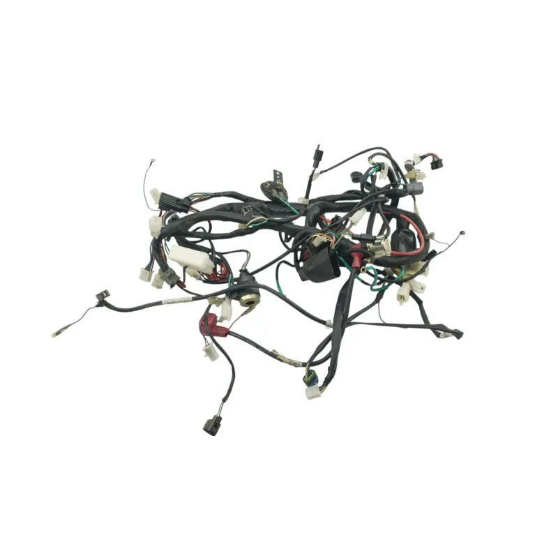 Faisceau electrique DAELIM ROADSPORT 125 2007 - 2011