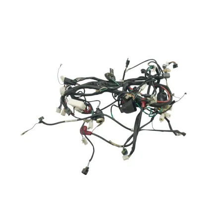 Faisceau electrique DAELIM ROADSPORT 125 2007 - 2011