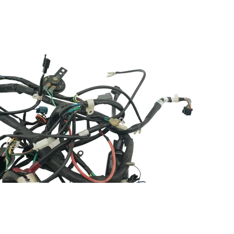 Faisceau electrique DAELIM ROADSPORT 125 2007 - 2011
