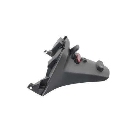 Support de plaque et eclairage PEUGEOT CITYSTAR 50 2018 - 2021