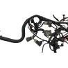 Faisceau electrique HUSQVARNA NUDA 900 R ABS 2011 - 2013 Faisceau electrique HUSQVARNA NUDA 900 R ABS 2011 - 2013