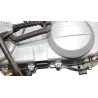 Moteur YIYING ECCHO 50 2014 - 2017 Moteur YIYING ECCHO 50 2014 - 2017